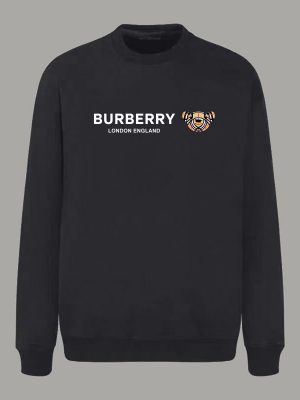 Replica BURBERRY Clothes 01RA786